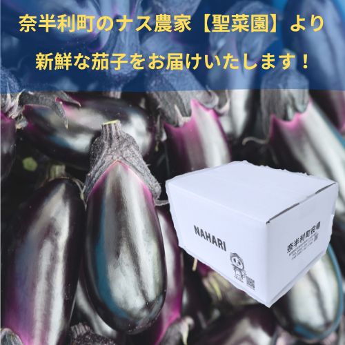 131002　奈半利町の茄子【慎太郎】4kg  ナス なす 産地直送 野菜 箱入り 新鮮