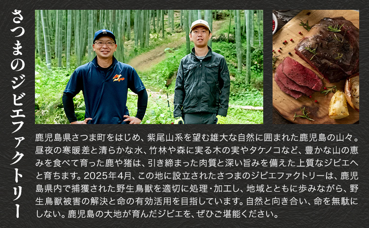 鹿肉 ペットフード 詰合せ ミンチジャーキー 100g 肋ジャーキー 100g ウェットフード 100g ダブルビーゼット株式会社 (さつまのジビエファクトリー) 《30日以内に出荷予定(土日祝除く)