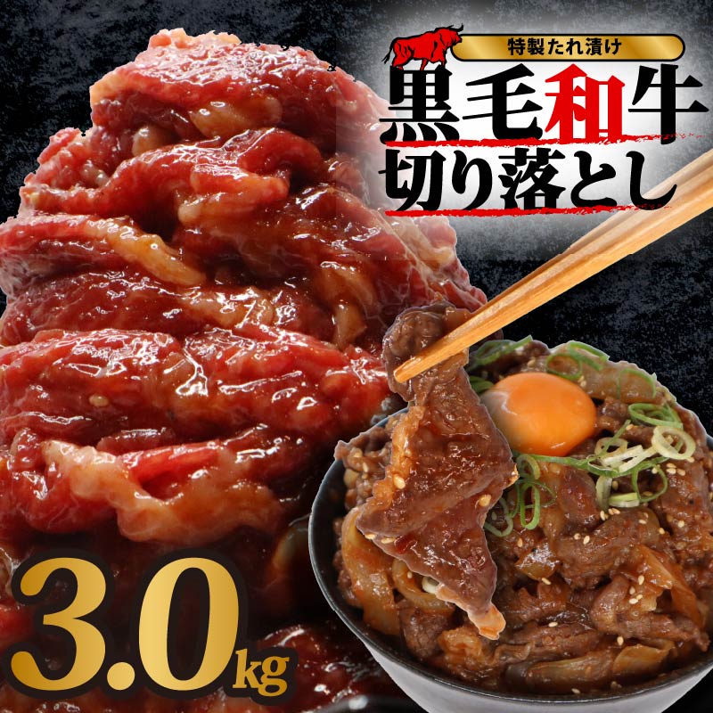 国産 黒毛 和牛 個包装 秘伝のタレ 3kg 15パック 牛肉 牛 味付け 切り落とし スライス タレ漬け 特製 タレ 焼き肉 焼肉 牛丼 丼 焼肉セット 焼肉用 小分け 冷凍 BBQ バーベキュー おすすめ 人気 奈良 奈良県 奈良市 近藤精肉店 25-044