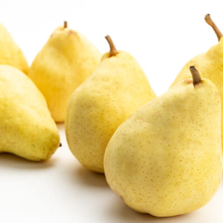 西洋梨ルレクチェ2kg