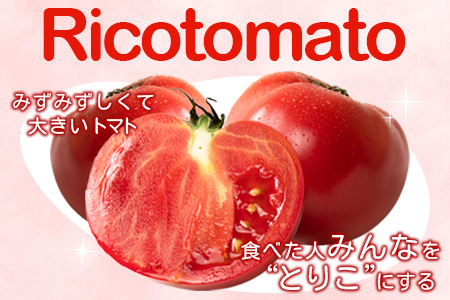 【先行予約】 たにぐちファーム 大玉トマト 4kg 【2024年2月～6月出荷】 Ricotomato とりこになるトマト Ａ-159