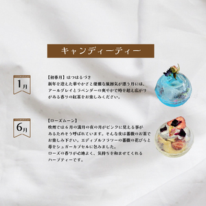 【キャンディーティー】 マカロン 長州紅茶 セット 紅茶 LL