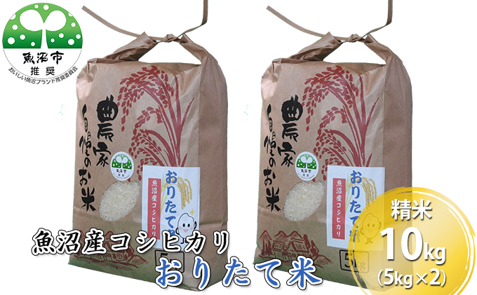 令和7年産 魚沼産コシヒカリ おりたて米 （精米）10kg（5kg×2） お米