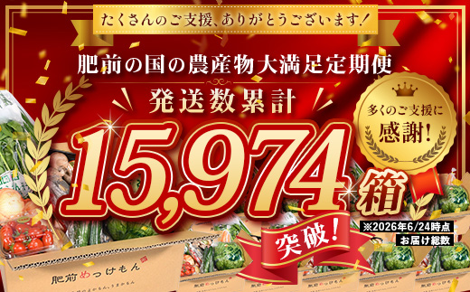 野菜セット 米 卵 付き 約14品 | 肥前の国の農産物大満足セット  佐賀県 鹿島市 B-306