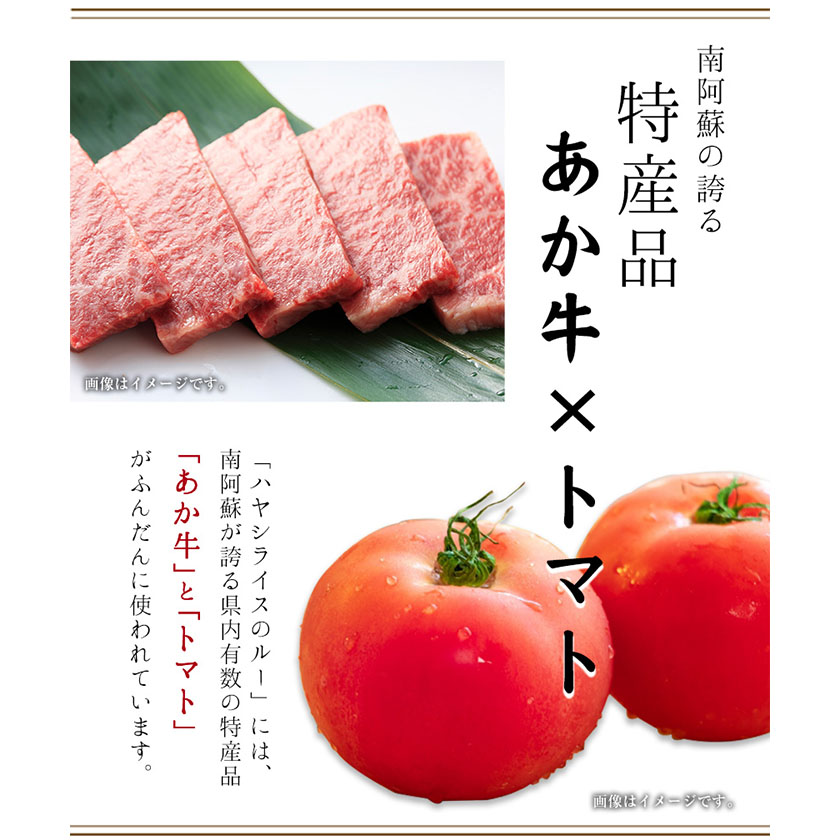 ちきゅうや むらのハヤシルー 200g×4食セット 計800g 《30日以内に出荷予定(土日祝除く)》 熊本県 南阿蘇村 ルー ---sms_fckyhys_30d_24_13500_800g---