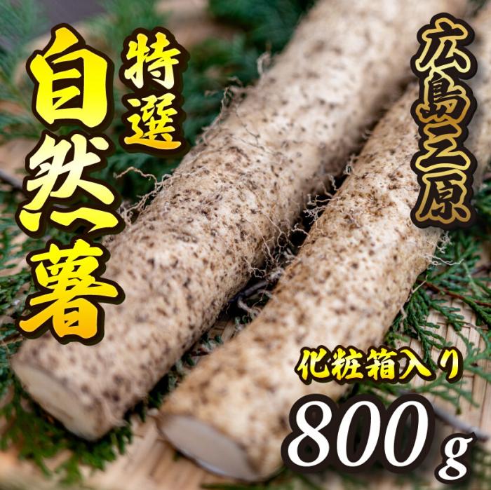 【ふるさと納税】≪標高375mで採れた≫自然薯化粧箱入り800g【配達不可：離島】 広島 三原 とろろ 029005