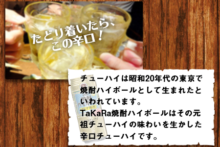＜TaKaRa 焼酎ハイボール グレープフルーツ 500ml×24本＞翌月末迄に順次出【c830_kr_x3】