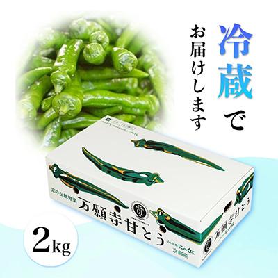 ふるさと納税 舞鶴市 甘い!美味い!辛くない!京のブランド産品「万願寺甘とう」2kg |  | 01