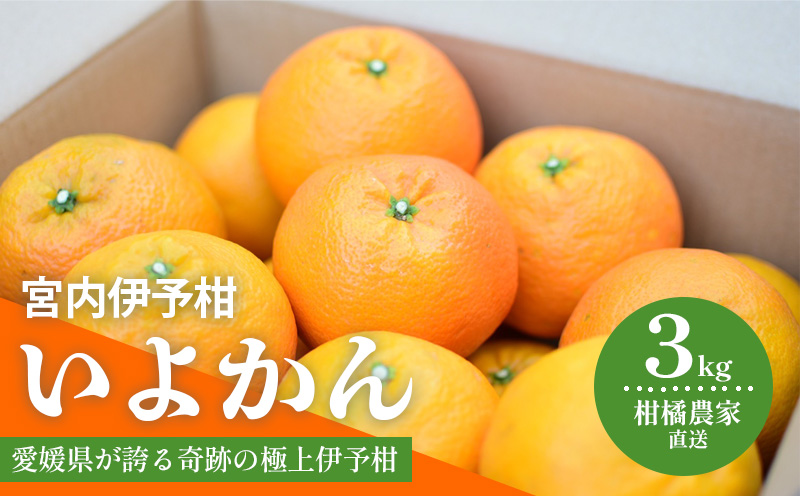 【先行予約 2026年1月中旬から発送予定】 いよかん 宮内伊予柑 3kg
