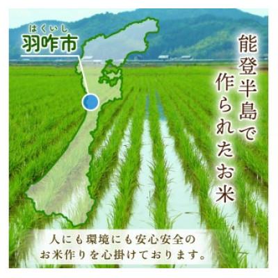 ふるさと納税 羽咋市 【毎月定期便】《数量限定》のと米 精米 15kg ( 5kg × 3袋 )全3回 |  | 01