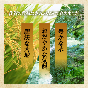 《2026年8月発送》令和7年産 さがびより 佐賀県産（精米）5kg