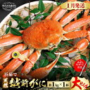 【ふるさと納税】【先行予約】≪浜茹で≫ 地物！天然！越前がに 大サイズ（約1kg） × 1杯 かにスプーン付き 【2025年1月上旬以降順次発送予定】 はるか丸厳選！【冷蔵 本場の味 ボイル 越前ガニ 蟹 茹で ずわいがに ズワイガニ 福井 日本海】 [m36-x005_01]