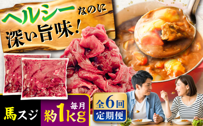 【全6回定期便】馬スジ 約1kg (約500g×2パック) / 馬肉 スジ 馬すじ 煮込み 煮物 カレー お肉 スジ肉 スジ すじ肉 料理用 馬 肉 熊本 すじ【五右衛門フーズ】 [BHCY043]