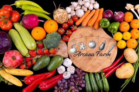 【3回定期便】 こだわりの新鮮野菜セット 8~11品目 | 野菜セット 新鮮 野菜 季節の野菜 おすすめ 高知県 南国市