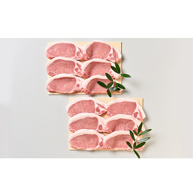 【ふるさと納税】オリーブ豚 ロース ステーキ用 1200g 600g × 2 香川県産 豚肉 豚ロース とんてき トンテキ ポークステーキ 国産豚 ポーク 2パック 夕飯 おかず 食材 休日 集まり おもてなし 贈り物 ギフト お祝い 記念日 お取り寄せ グルメ お肉 香川県 東かがわ市