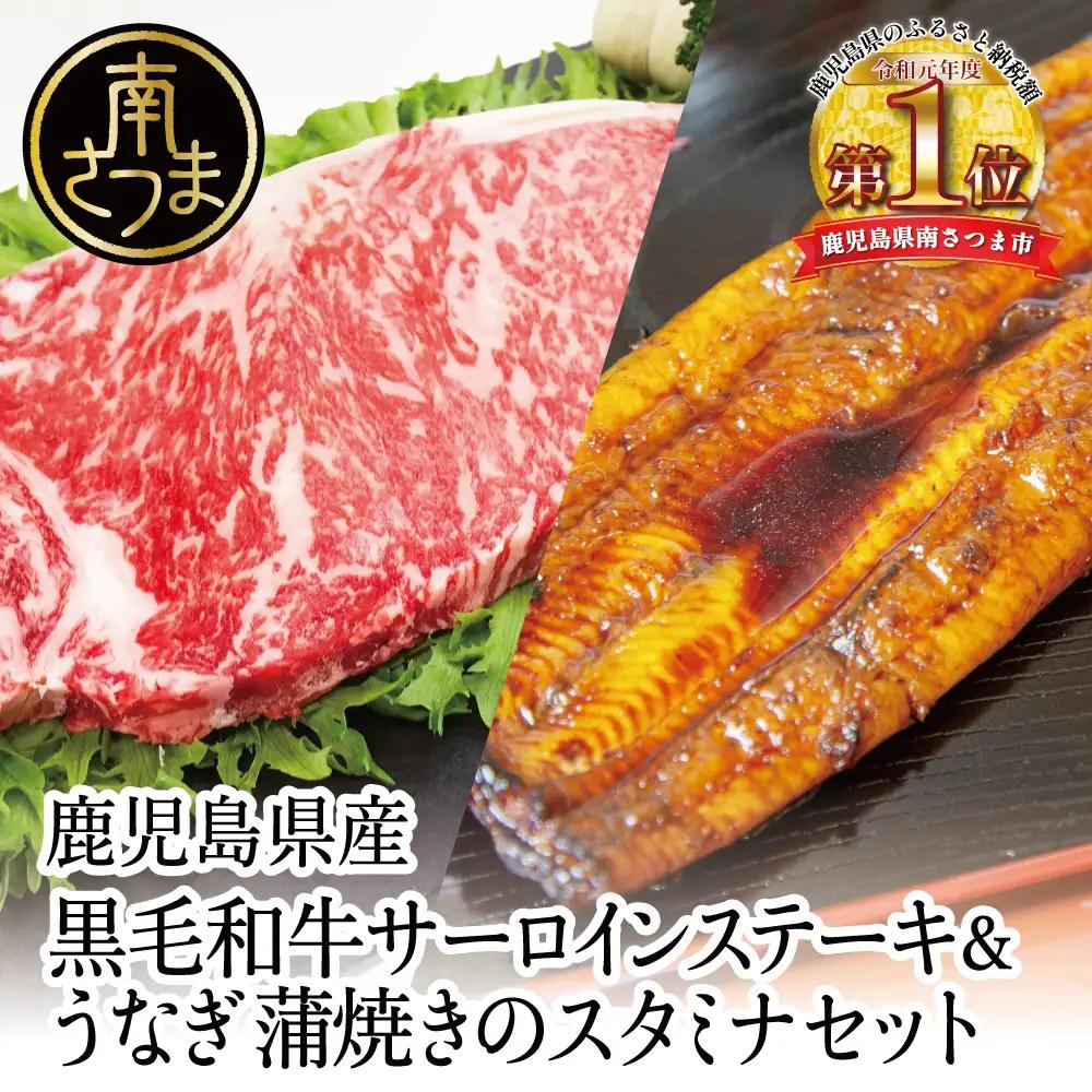 鹿児島県産黒毛和牛サーロインステーキ＆国産うなぎ蒲焼き スタミナセット（同梱発送） 鹿児島県産黒毛和牛 牛肉 サーロイン 鰻 ギフト 贈答 冷凍 スターゼン