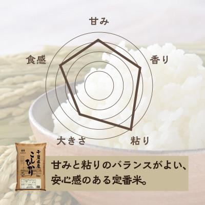 ふるさと納税 大網白里市 【令和8年産】2年連続特A評価! 千葉県 米 コシヒカリ 15kg  ( 5kg ×3袋) |  | 01