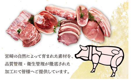 MCBY4-39 宮崎県産 豚肉詰め合わせ 焼肉セット（合計3.9kg）