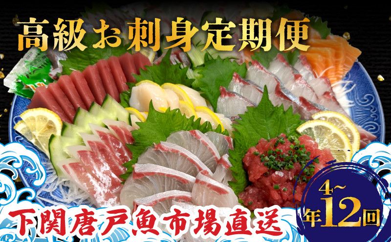 
定期便 お刺身 2人前 選べる回数 4回 6回 12回 隔月定期便 毎月定期便 鮮魚 魚介 海鮮 魚定期便 人気 ランキング お手軽 お刺し身 刺身 刺身定期便 刺し身 サーモン いくら イクラ 鮭 マグロ まぐろ定期便 おすすめ定期便 下関 山口 お楽しみ定期便 アジ ほたて ホタテ 手軽 簡単定期便 アワビ あわび
