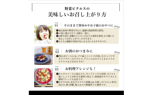 【スピード発送】いずみピクルス 定番人気のピクルス 3種セット NSW 010B1570