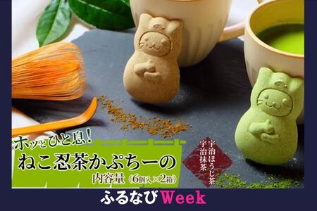 京の老舗「ねこ忍茶かぷちーの」２箱セット（お湯やミルクをかけるとドロン）〈京都 抹茶