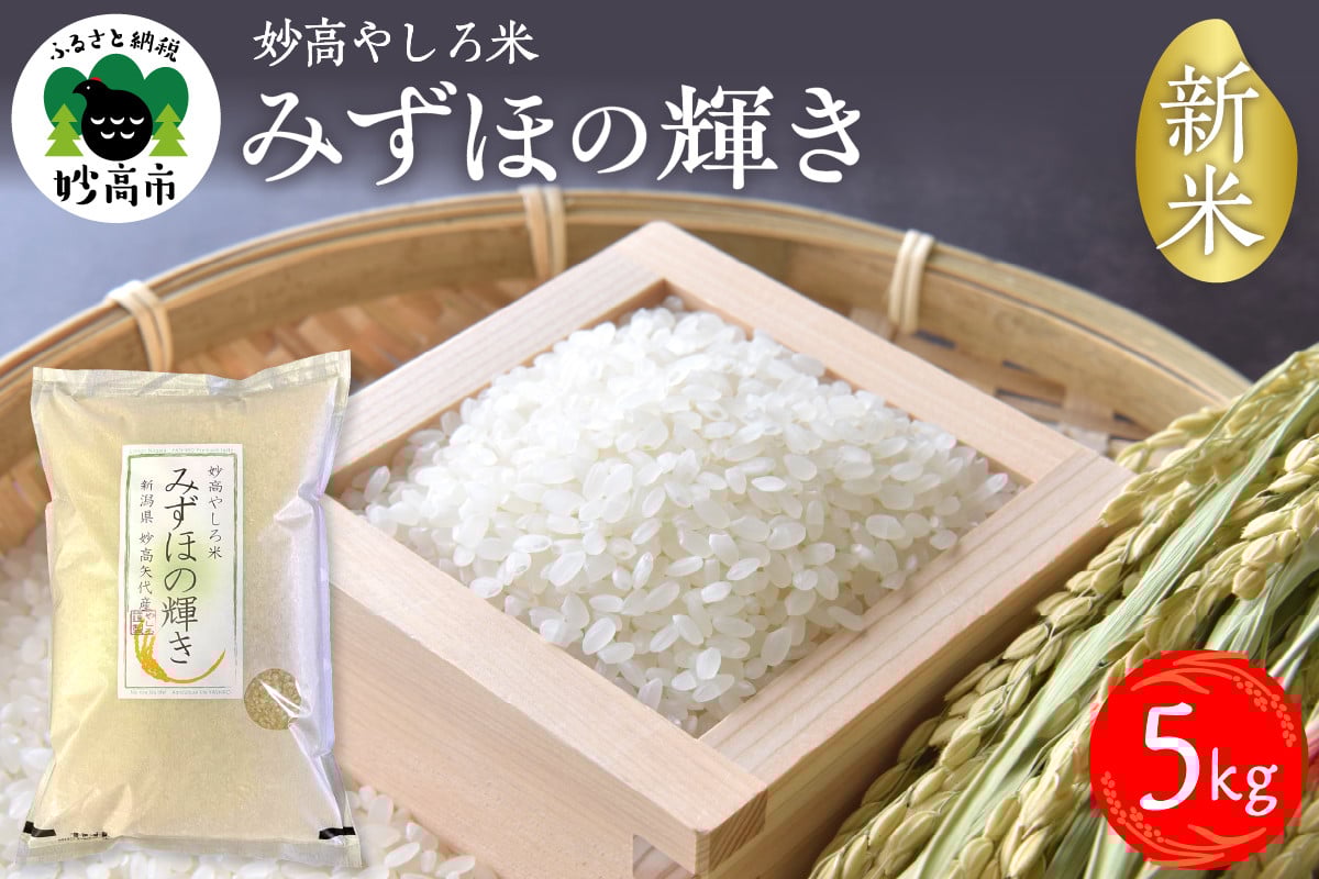 
            令和7年産 新潟県　妙高やしろ米 みずほの輝き5kg 【11月中旬より発送】 お米 米 コメ 精米 新潟 妙高市 米どころ こめ ご飯 ごはん ライス 弁当
          