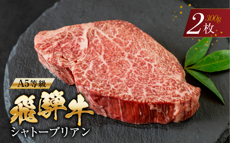 A5等級 飛騨牛 シャトーブリアン ステーキ150g×2枚 トキノ屋食品 牛肉 ヒレ ステーキ シャトーブリアン 高級 美味しい おすすめ はじめて  岐阜県 本巣市 和牛 黒毛和牛 にく やわらかい 