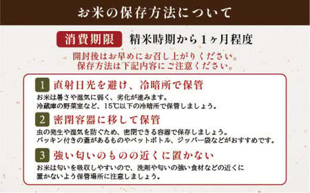 令和7年産 さがびより 5kg ／米 お米 返礼品 飯 ごはん 弁当 銘柄米 白米 県産米 佐賀県産 国産米 精米 ブランド米 おにぎり 国産 食品 人気 おすすめ ふるさと納税米  精白米 主食 
