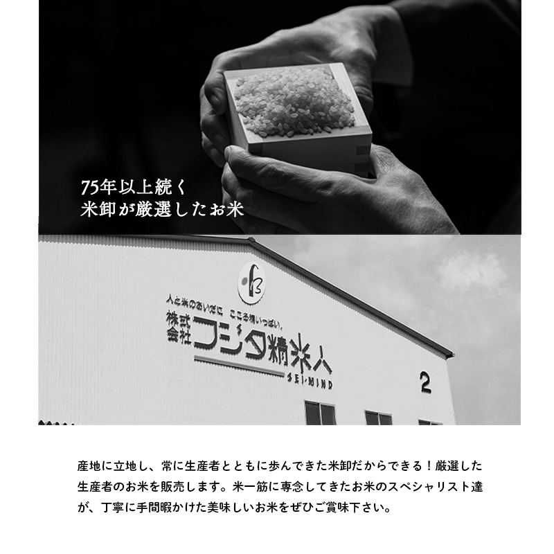 兵庫県産 コシヒカリ 無洗米 5kg [ お米 米 おいしい こしひかり 兵庫県 小野市 ] 精米 白米 ご飯 品質 手間いらず しゃっきり 歯ごたえ 爽やか さっぱり お米の王様