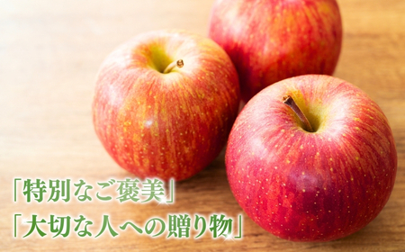 【2025年先行予約】りんご シナノドルチェ 6〜11玉 約3kg ｜ りんご りんご りんご りんご りんご りんご