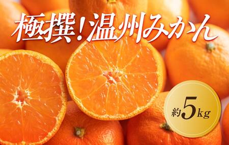 【2024年11月中旬より発送】極撰！温州みかん　約5kg |みかん フルーツ 旬 美味しい みかん 新鮮 フルーツ みかん 詰合せ セット フルーツ 人気 フルーツ 厳選 おすすめ フルーツ