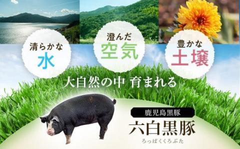 ふるさと2選B （焼豚 約200ｇ×4個、 餃子 12個入×10パック）