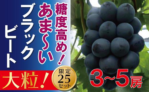 EE-70　福原農園　岡山のあまーいブラックビート約2kg（3～5房）