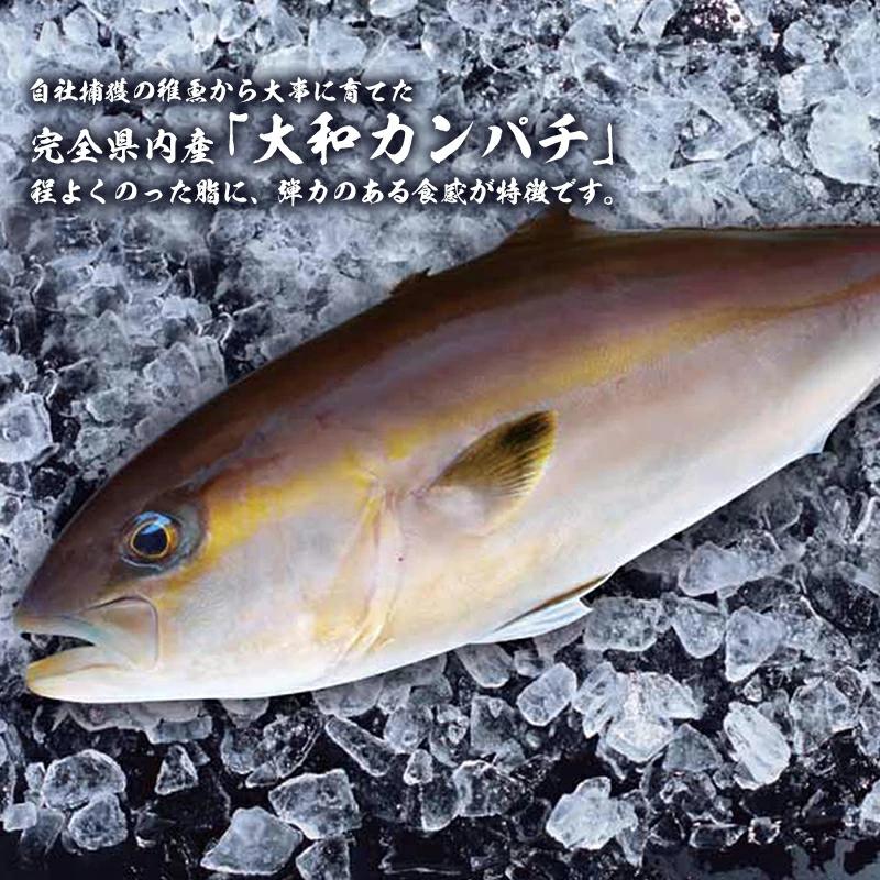 大和ｶﾝﾊﾟﾁ半身(ﾌｨﾚ)約1.2kg～1.5kg×2枚かぶと付き N072-YD0192_イメージ3