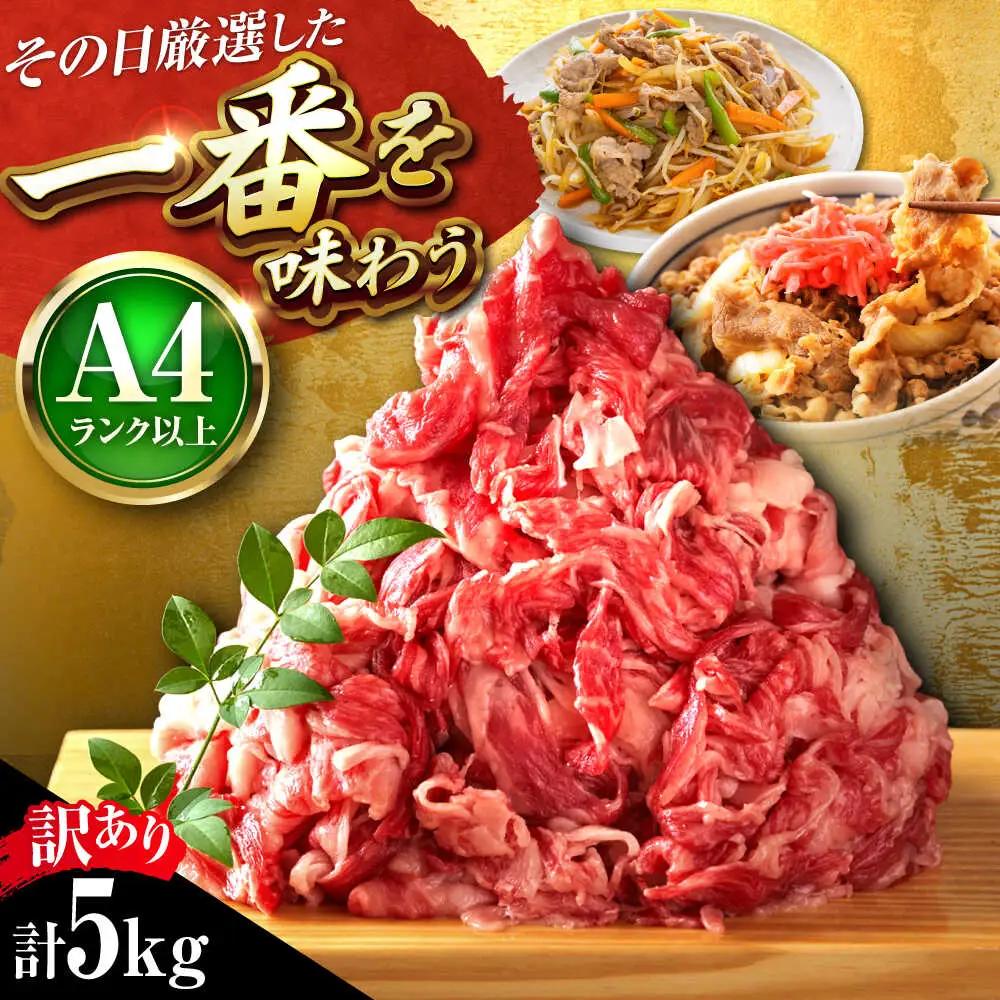【訳あり】博多和牛切り落とし 5kg[BGAB040]大容量 国産 牛肉 訳アリ