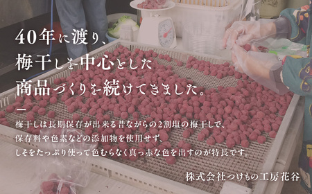TH-02 40年作り続けてきた無添加梅干し（小梅）と赤しそふりかけのセット
