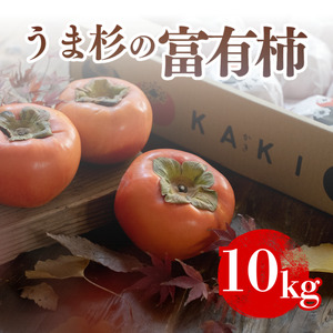 うま杉の富有柿 10kg L  ｜柿 柿 柿 柿 柿 柿※2025年11月中旬～12月中旬頃に順次発送予定