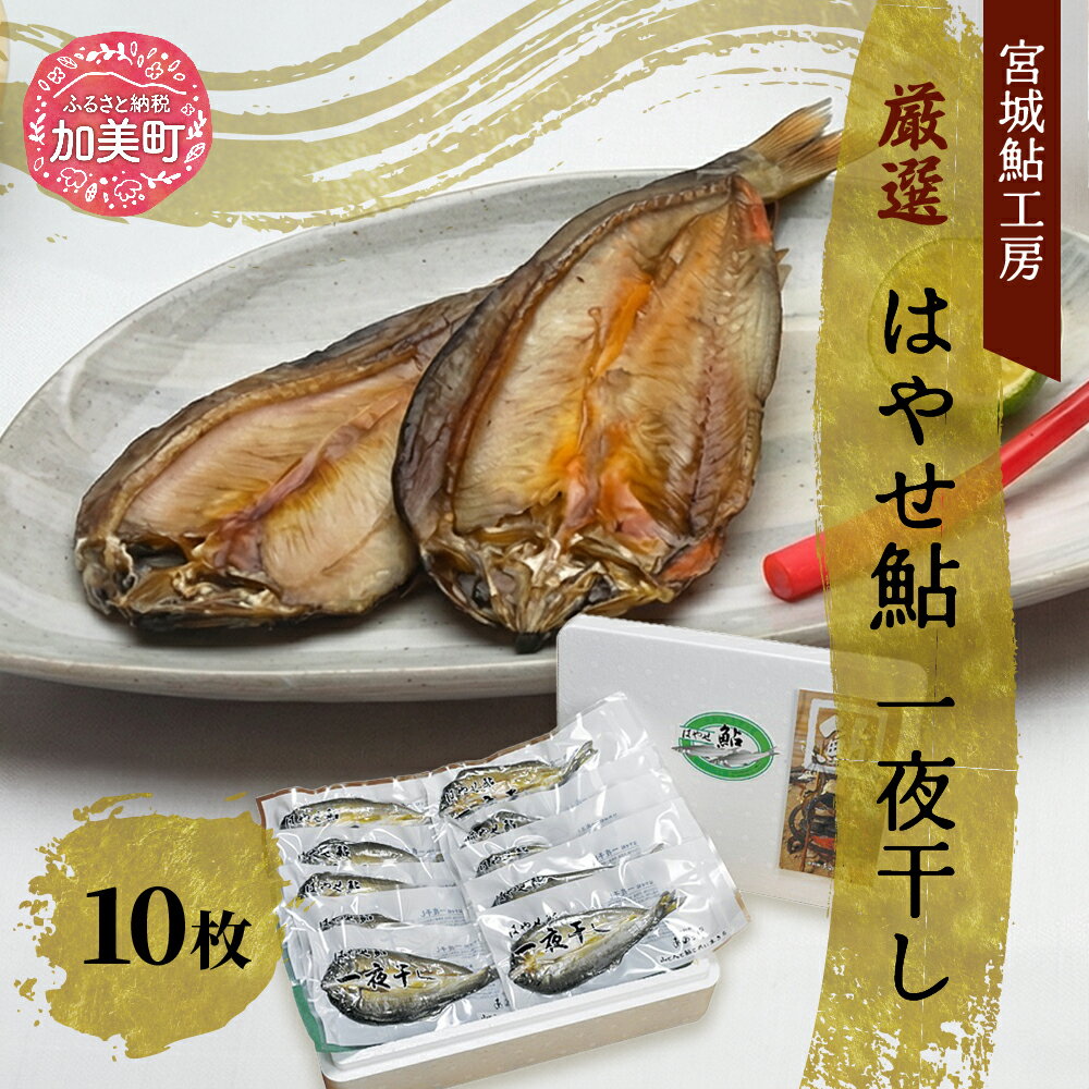 【ふるさと納税】＜宮城鮎工房＞宮城県加美町産鮎の極み　厳選「はやせ鮎」一夜干し　10枚 [宮城鮎工房 宮城県 加美町 44581308]
