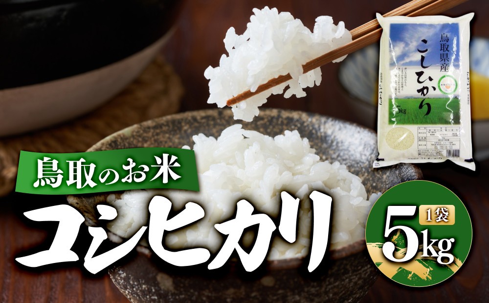 
                  鳥取のお米 コシヒカリ 5kg 精米【R7年産 2025年産 米 こめ ご飯 ごはん おにぎり おむすび 夕食 5キロ 鳥取県産 北栄町 おすすめ 人気】
                