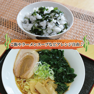 塩蔵わかめ 1kg 100g×10袋 わかめ 海鮮 海藻 魚貝類 魚介類 小分け みそ汁 スープ 酢の物 三陸産 岩手県 大船渡市