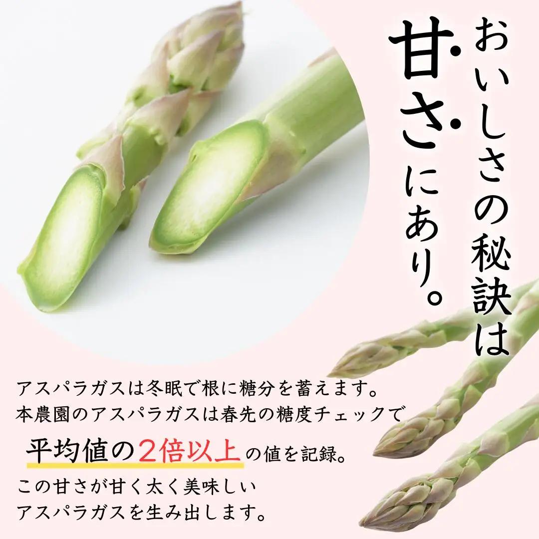 アスパラガス 太目 約1kg 令和8年産アスパラガス 飯塚農園