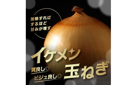 【2027年2月中お届け】JAきたみらい産 玉ねぎ Lサイズ以上 10kg ( タマネギ たまねぎ 野菜 )【210-0003-2026】