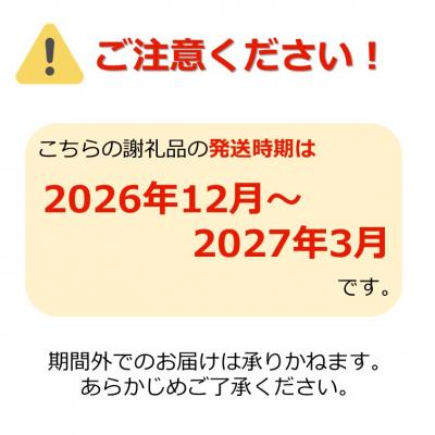 ふるさと納税 長井市 冬に咲く桜「啓翁桜」の切り花(80〜90cm枝×8〜10本)_F068(R8) |  | 01