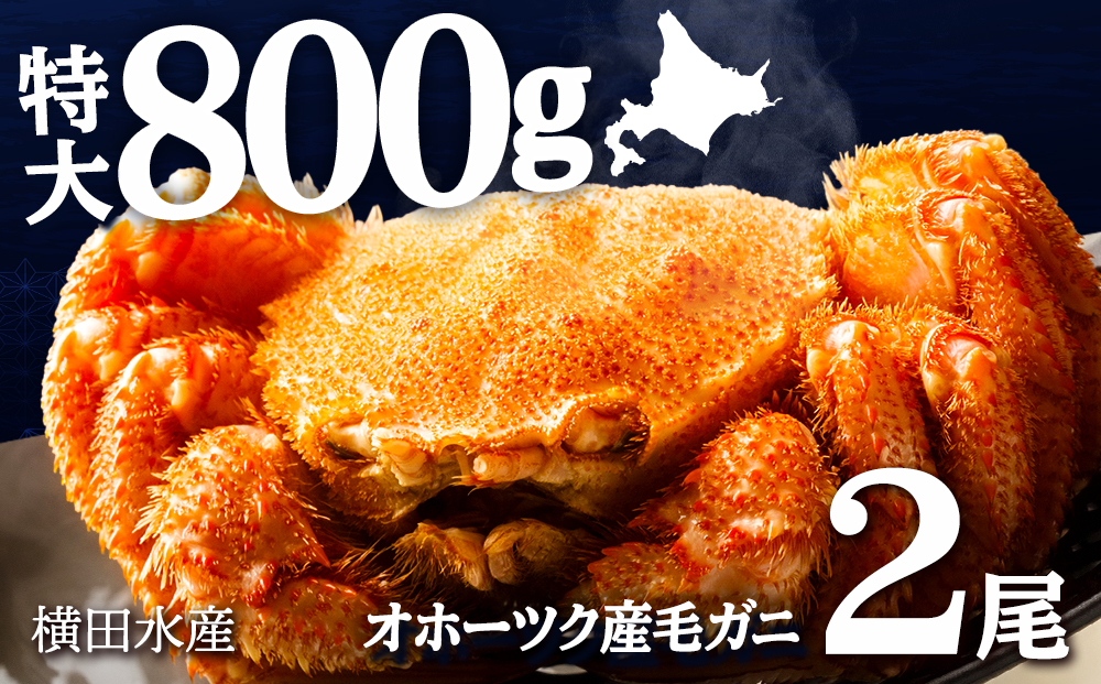 ☆北海道産 毛ガニ 約800g×2尾 セット かに 蟹 毛蟹 冷凍 北海道産 浜頓別町