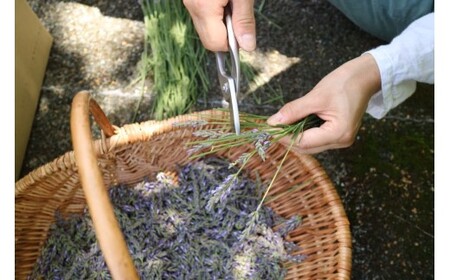 【 マツリカサボン 】 オーガニック石けん （ラベンダー） 75g 1個 ご自宅用 / オーガニック 生せっけん 自然素材 石鹸 岡山 真庭 蒜山 肌にやさしい こだわり 手作り 無添加 洗顔 MAT