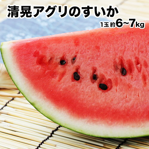 【ふるさと納税】先行予約 『清晃アグリ』のすいか 1玉約6～7kg 【日付指定不可】 熊本県玉名郡玉東町『清晃アグリ』すいか フルーツ 果物 熊本県産《4月下旬-5月下旬頃出荷》