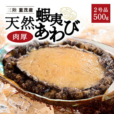 【ふるさと納税】【三陸重茂産】天然　蝦夷あわび(2号品)500g(冷凍)【配送不可地域：離島】【1519984】