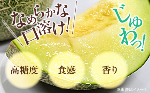 メロン めろん タカミ 小玉 こだま 貴味 果物 くだもの 旬 フルーツ 高級 デザート 2玉 3玉 先行予約