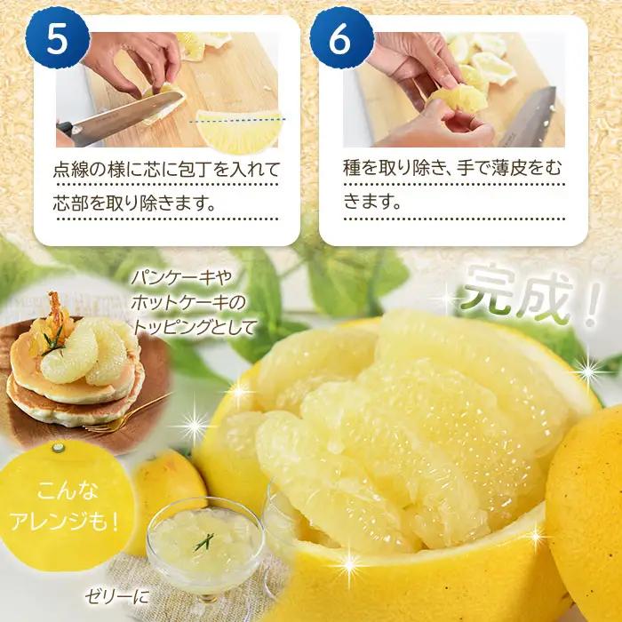 土佐文旦 10kg 文旦 ms-0092