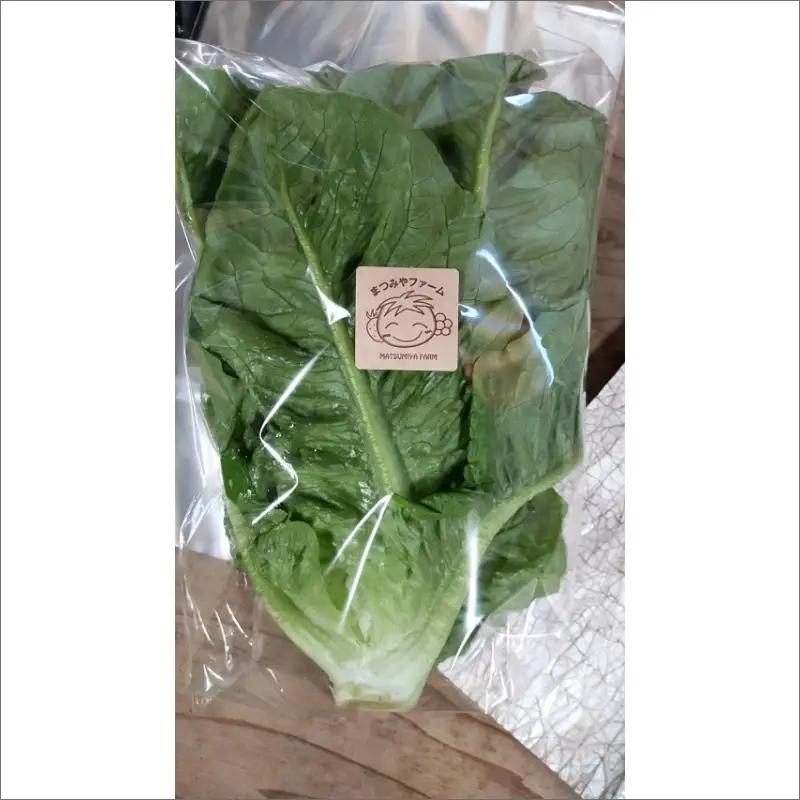 【野菜】京都 野菜秋冬セット 5品